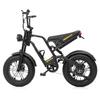 Hidoes HD-B6 Mini E-Bike con Gomme Grasse Motore 500W Batteria 48V10.4Ah Ruote Grasse Larghe da 16 Pollici Mini E-Bike Tutti i Terreni Uso Quotidiano All'Aperto