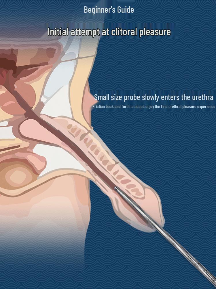 Metal Dowsing Rod Urethral Dilator & Masturbator Toy