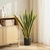 Artificial Sansevieria Plant, 77 Cm, 21 Adjustable Leaves, Pot, Green
