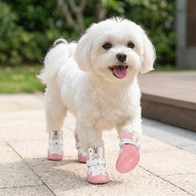Roupa e sapatos – Sapatos para cães