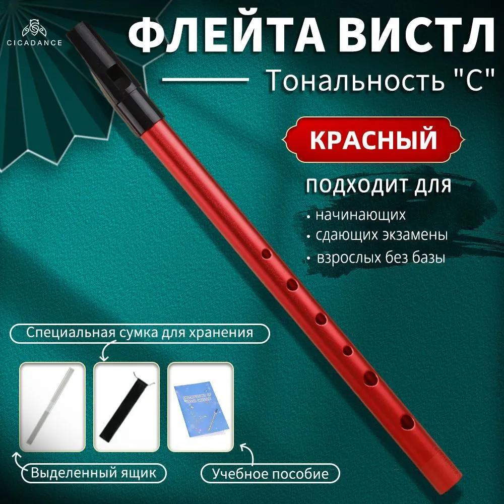 CICADANCE Píšťalka na flétnu, Černá, Tónina C, Nástroj se 6otvorovou flétnou, Kovový hudební nástroj