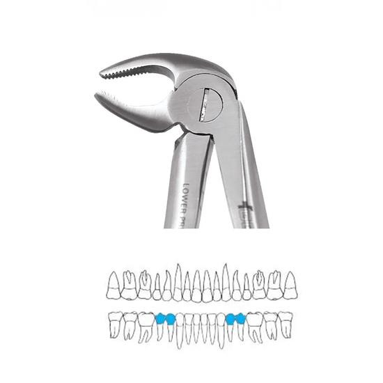 

GDC Extraction Forceps Lower Premolars - 13 Premium (FX13P)