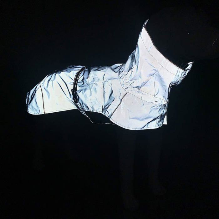 Manteau de randonnée chien 40 cm CROCI – Imperméable, réfléchissant, doublure thermorégulatrice