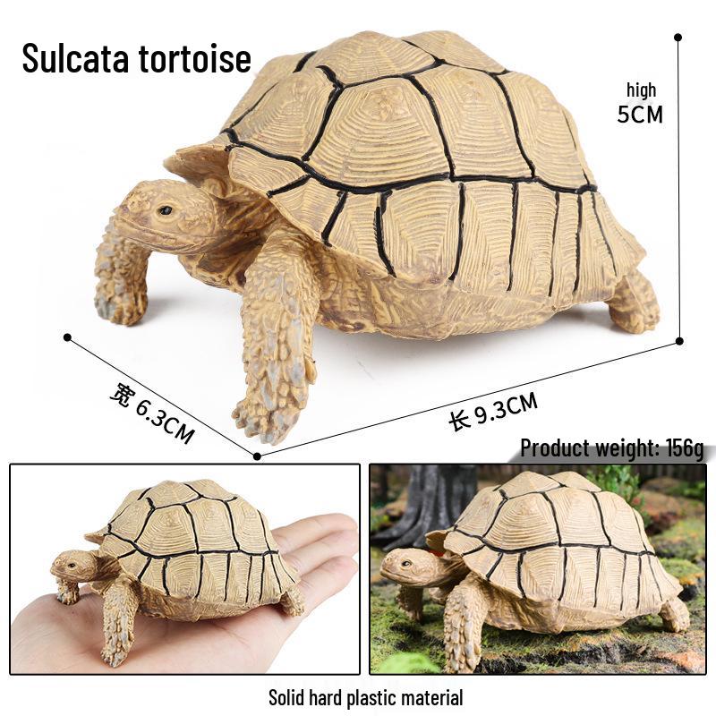 Cross-Border Children's Cognitive Amphibian & Reptile Tortoise Model Fish Tank Ornament Toy
