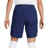 Nike 22/23 Season Tottenham Hotspur Brand Logo Slim Fit Comfortable Football Pants Fan Version Men Bottoms DJ7715-429