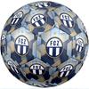 FC Zürich Taglia 5 Pallone da Calcio Standard Resistente per Allenamento e Partita per Sport all'Aperto per Adulti