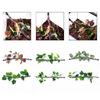 Realistic Vine Decoration for Reptiles Terrariums Natural Cave Habitat Decors Climbing Plant Hammock Hideouts Cave