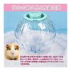 Hamster Toy Portable Ball for Small Animals Transparent Breathable Hamster Ball Walk Runner Ball Play Equipment (Green, Large: 20cm)