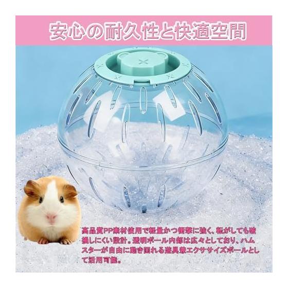 Hamster Toy Portable Ball for Small Animals Transparent Breathable Hamster Ball Walk Runner Ball Play Equipment (Green, Large: 20cm)
