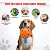 Interactive TPR Dog Chew Toy Hollow Handle Ball Small Medium Large Dogs