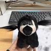 White Cute Ugly Monkey Plush Toy Fried Hair Backpack Pendant Key Chain Doll Gift