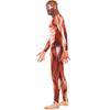 Smiffys Mens Anatomy Man Costume