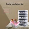 Gecko & Lizard Egg Incubator: 14-Position Tray for Reptile Hatching and Breeding