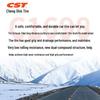 CST Pilgrimage Mountain Bicycle Tire
