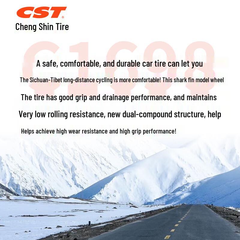 CST Pilgrimage Mountain Bicycle Tire