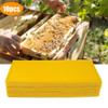 10pcs Bee Wax Foundation Bee Hive Wax Frames Base Sheets Bee Comb Honey Frame Beeswax Sheets Beekeeper Equipment