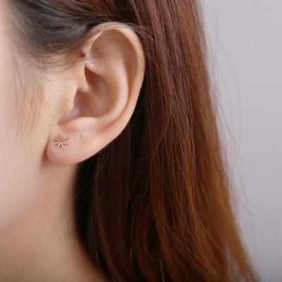 Snowflake Earrings for Women  Simple  Fashionable and Versatile Earrings  New Trendy Ins Style Korean Style Earrings