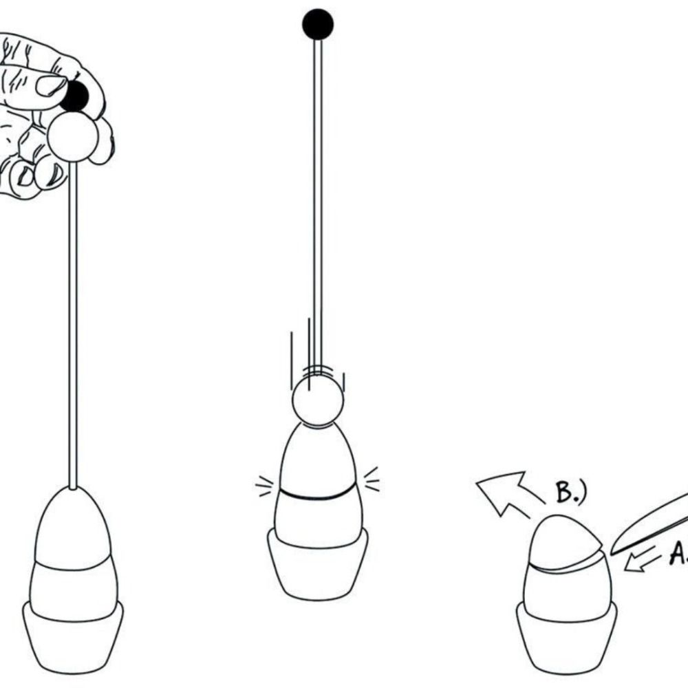 Practical Egg Shell Opener Multifunction Egg Cracker Separator Egg Topper Cutter Raw Egg