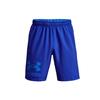 Woven Collection Sports Shorts Men's Blue Moderate Unisex 1362286-486