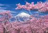 Epoch Japan Landscape Spring Scene Mount Fuji Shizuoka 300-Piece Jigsaw Puzzle 26×38cm with Adhesive Spatula and Ticket