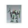 HG 1/144 GAT-X252 Forbidden Gundam (Mobile Suit Gundam SEED)