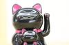 Castle Enterprises Parent and Child Waving Articulating Bulk a Delightful Japanese Souvenir for Comes in a Clear Case Maneki-neko (Black)