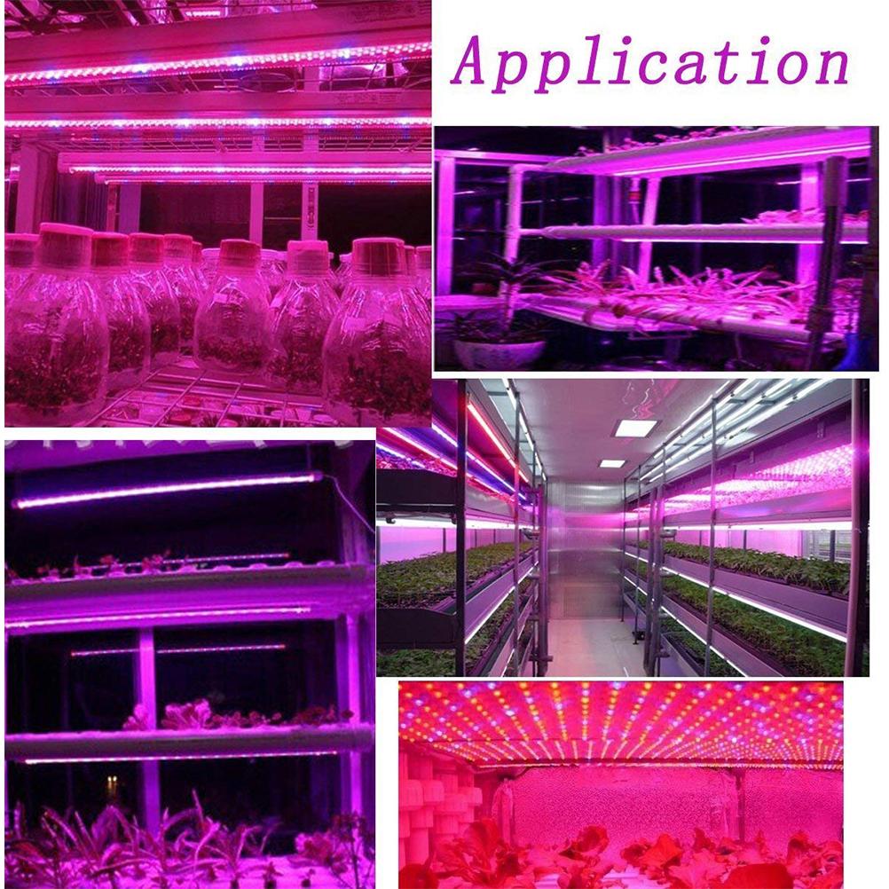 LED Plant Growth Light String 5050 SMD LED Light Waterproof Plant Light for Greenhouse