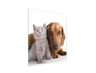 GLAS-SCHNEIDEBRETT 45x52 TIERE
