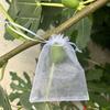 Fruit Protection Bags Drawstring Closure Mesh Fruit Bag Reusable Fine Mesh Covers for Tomatoes Strawberries Vegetables Protection from Insects Birds