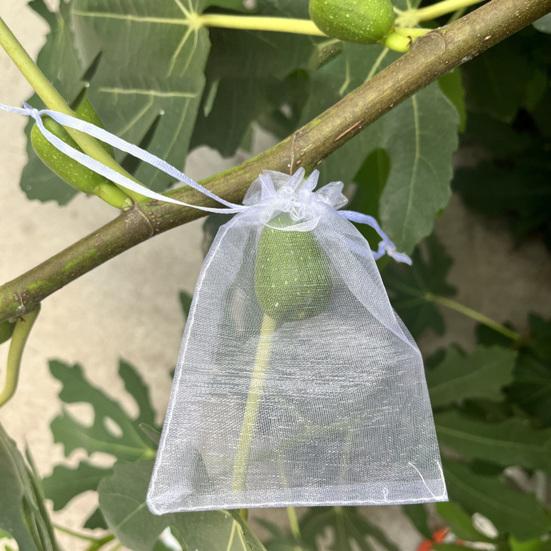 Fruit Protection Bags Drawstring Closure Mesh Fruit Bag Reusable Fine Mesh Covers for Tomatoes Strawberries Vegetables Protection from Insects Birds