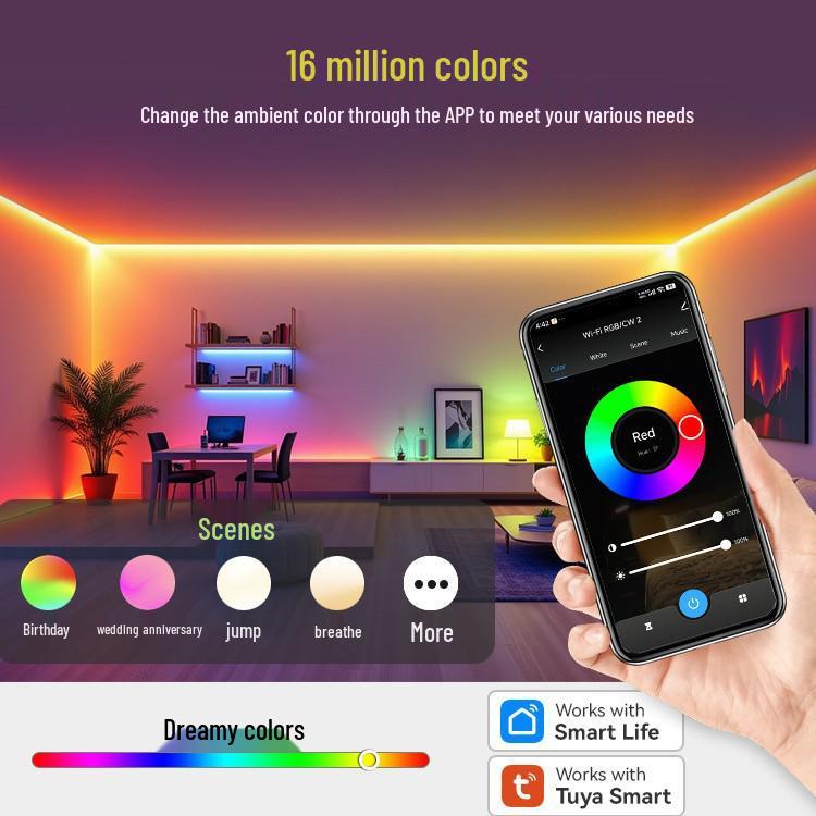 TUYA WiFi LED Strip Controller C51W: Supports Single, Dual Color, RGB, RGBW, and RGBCW.