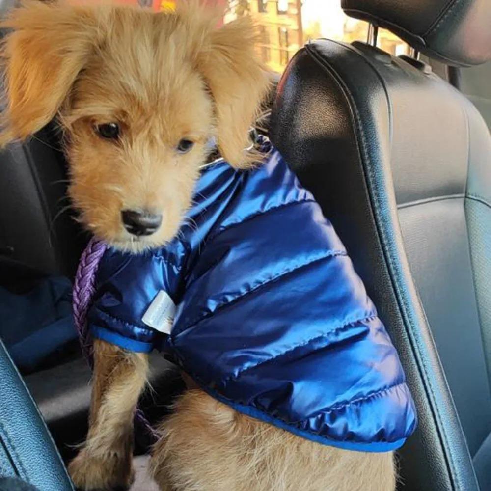 Bright Color Winter Dog Clothes Thicken Pet Coat Outfits Casual Puppy Jacket Clothing Pet Supplies