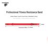 Echipamente de fitness – Benzi de rezistență și expandere