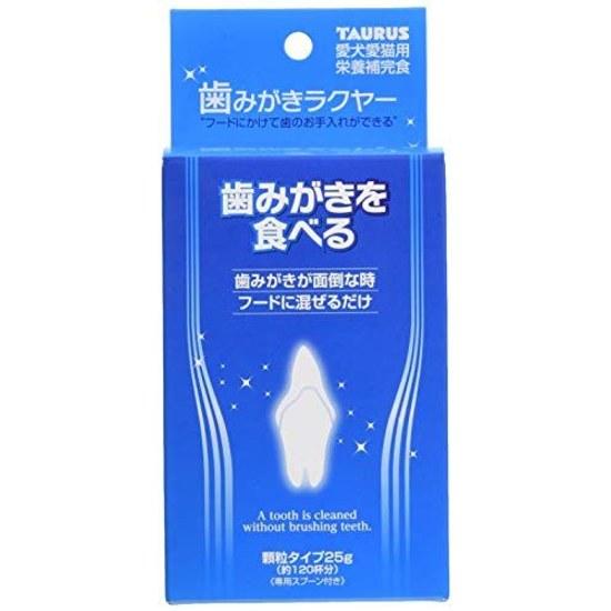 Torus Toothbrush Rakuya 25g