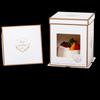 Heightened Transparent Birthday Cake Boxes (5 Sets)