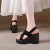 Fashion Wedges Platform Sandals Women Shoes Summer 2025 New Designer High Heels Woman Casual Shoes Elegant Dress Pumps Sandalias Mujer