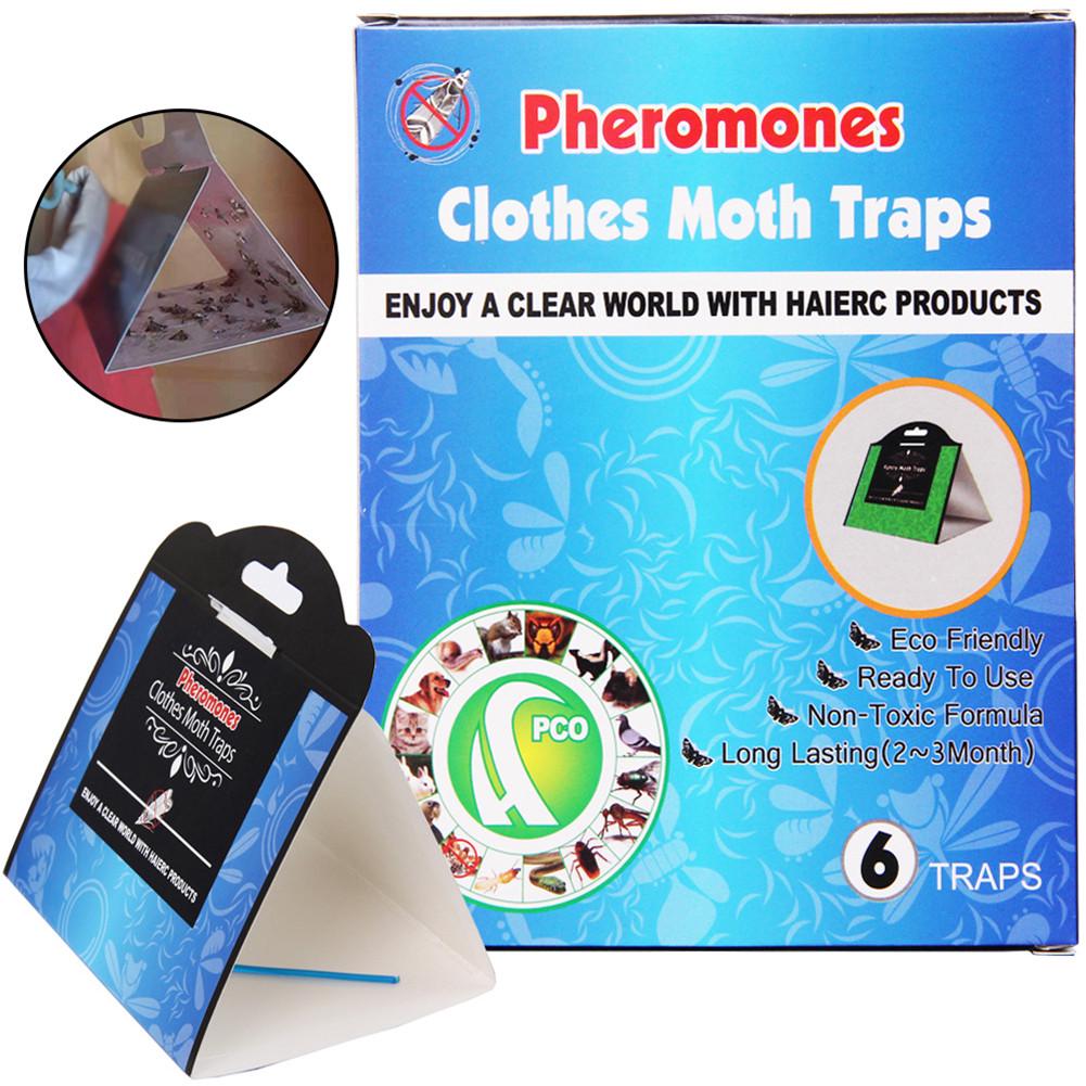 Buy 6PCS Moth Traps Sticky Pheromone Moth Repellent Killer Insect