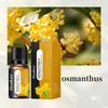 20 Flavors Essential Oils for Aroma Diffuser Air Humidifier 10ml Water-soluble Orange Lavender Air Freshener Scents Fragrance