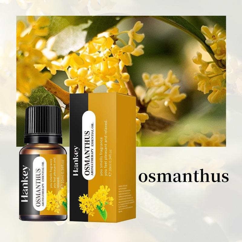 20 Flavors Essential Oils for Aroma Diffuser Air Humidifier 10ml Water-soluble Orange Lavender Air Freshener Scents Fragrance