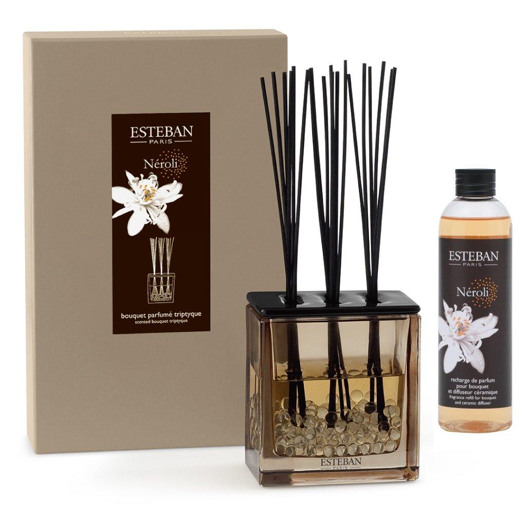 

Освежитель воздуха для комнаты Esteban Neroli Coffret Rattan Bouquet Room чистый