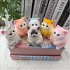 Slow Rebound Cat Squeeze Toy Soft Silicone Cat Pinching Toy Cat Squishy Toy Desk Decor