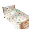 Class a 60 Rolled Printed Long-Staple Cotton Kindergarten Entrance Children's Summer Quilt
