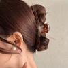 Acetate Leopard Hair Claw Clip Women's Large Chic Hair Clip Fresh and Sweet Back Bun Styling Claw Hairpins Barrettes Accessories