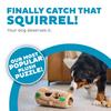 Dog Toy Educational Hide Squirrel Find the Squirrel! (Huge 20x32)