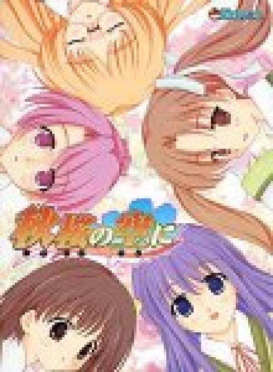 

In the sky of autumn cherry blossoms