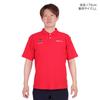 DESCENTE SUNSCREEN Demon Kanoko Back Logo POLO RD L
