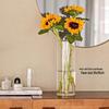 Roomco Anti-Fall Transparent Acrylic Flower Vase