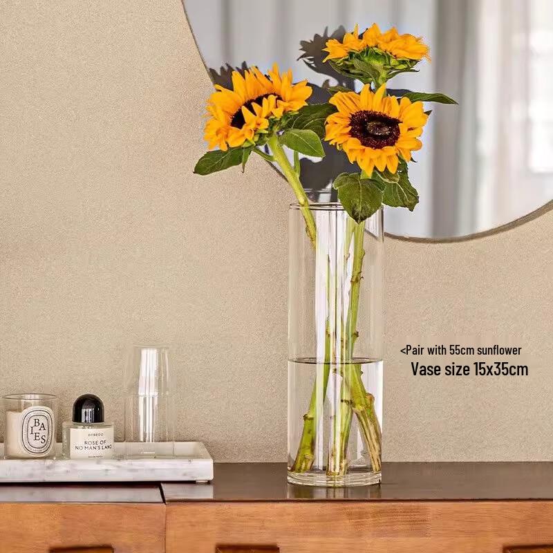 Roomco Anti-Fall Transparent Acrylic Flower Vase