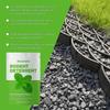 HozoneX Peppermint Oil Home Rodent Repellent Plant Ingredients Indoor Mild Rodent Repellent Convenient Home Rodent Repellent