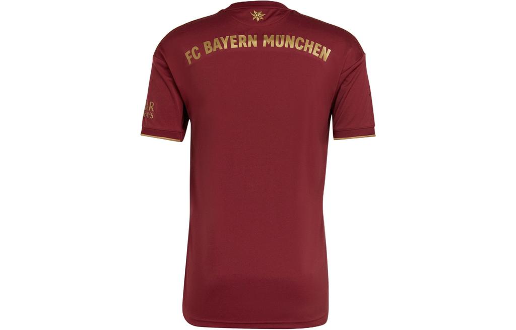 adidas Bayern München Zwart Voetbalshirt Heren Donkerrood IC1435